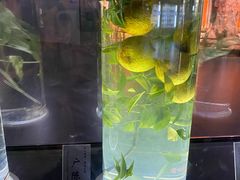 -广东中医药博物馆