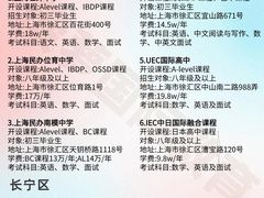 -菠萝国际教育专注Alevel·IGCSE·IB·AP·托福雅思培训辅导(静安校区)