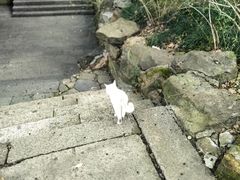 -吴山景区
