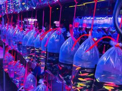 -华声天桥民俗文化园