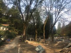 -素山寺森林公园