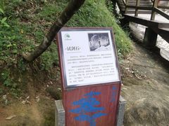 -广州白江湖森林公园