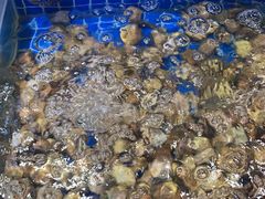 -圣罗巴海鲜自助(黑金店)