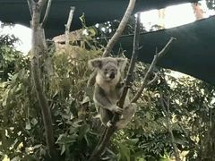 -可伦宾野生动物保护区