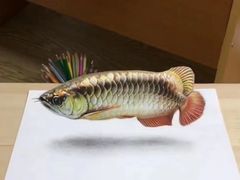 -橙食派沙拉(滨海伊势丹店)