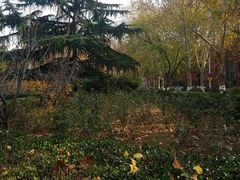 -山东大学(千佛山校区)