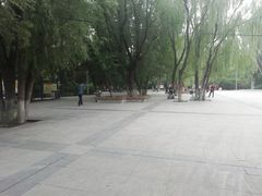 -青城公园
