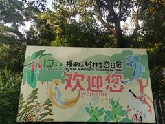 -福田红树林生态公园