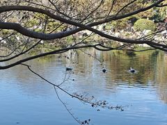 -西湖外事游船(花港观鱼码头)