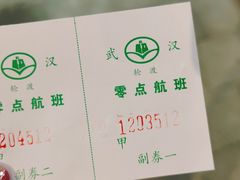 -武汉关码头(轮渡站)