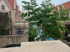-西安国际创新人才交流中心•药浴温泉