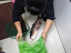 -老渔翁笨锅炖(迎宾路总店)