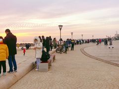 -日照灯塔风景区