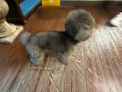 -默迹咖啡馆