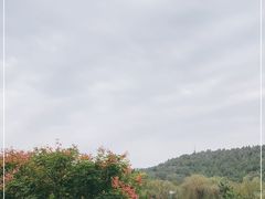 -浮来山风景区