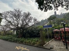 -南沙蒲洲花园