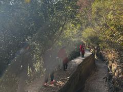 -芦茨金富饭庄·25年老字号·专做稻草鸡