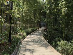 -龙头寺公园