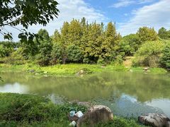 -八大山人梅湖景区