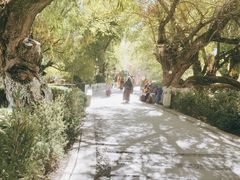 -宗角禄康公园
