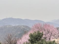-香山公园
