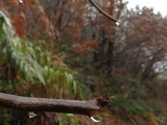 -敬亭山风景名胜区