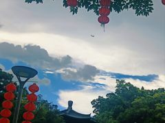 -荔湾湖公园