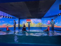 -欢乐海岸海洋奇梦馆