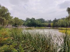-西安市长乐公园