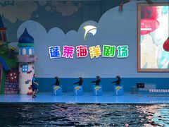 -蓬莱欧乐堡海洋极地世界