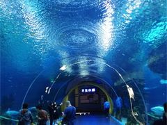 -日照灯塔风景区