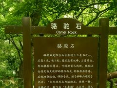 -阳台山自然风景区