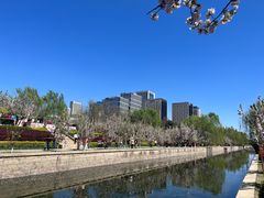 -海棠花溪(元大都城垣遗址公园)