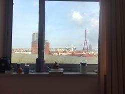 -复旦大学附属妇产科医院(杨浦院区)