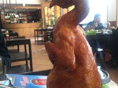 -鸽鸟轩(石岐店)