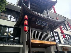 -巢湖名吃·东关老鹅汤(江南风情街店)
