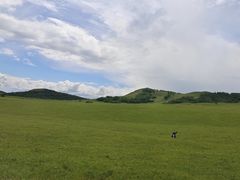 -乌兰布统草原