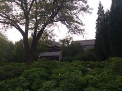 -迎泽公园