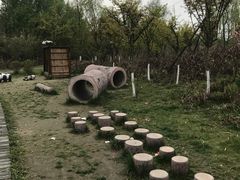 -桤木河湿地公园