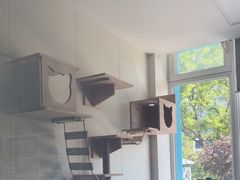 -美联众合动物医院·24h京西诊疗中心