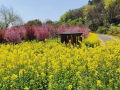 -苏州上方山国家森林公园