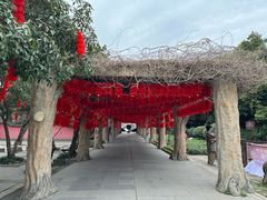 -房湖公园