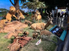 -国家自然博物馆