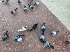 -加泰罗尼亚广场