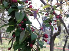 -元大都城垣遗址公园