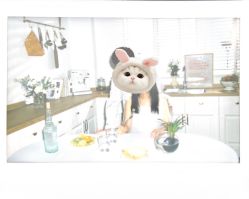 -WAVE SODA摄影工作室