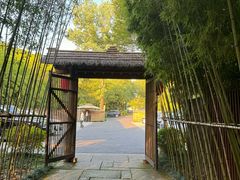 -新荣记(西溪湿地店)