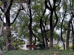 -徐家汇源景区-衡山公园