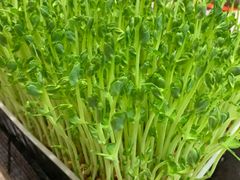 -捞神汤物料理(正大广场店)