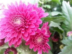 android_upload_pic-新竹里馆·花园餐厅(兴苑路店)